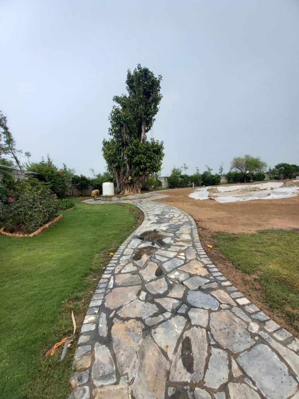 Floor Stone - Image 2