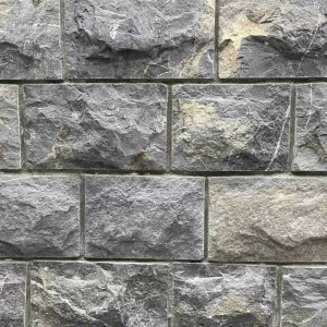 Rough Texture Taxila Stone